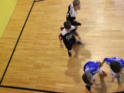 mini-IMG_5589